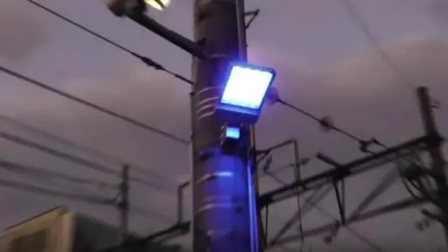 Lampu jalan berwarna biru