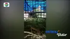 Kini harimau Sumatera bernama latin Panthera Tigris Sumatrae itu dipindahkan ke pusat rehabilitasi harimau di Dharmasraya, Sumatera Barat.