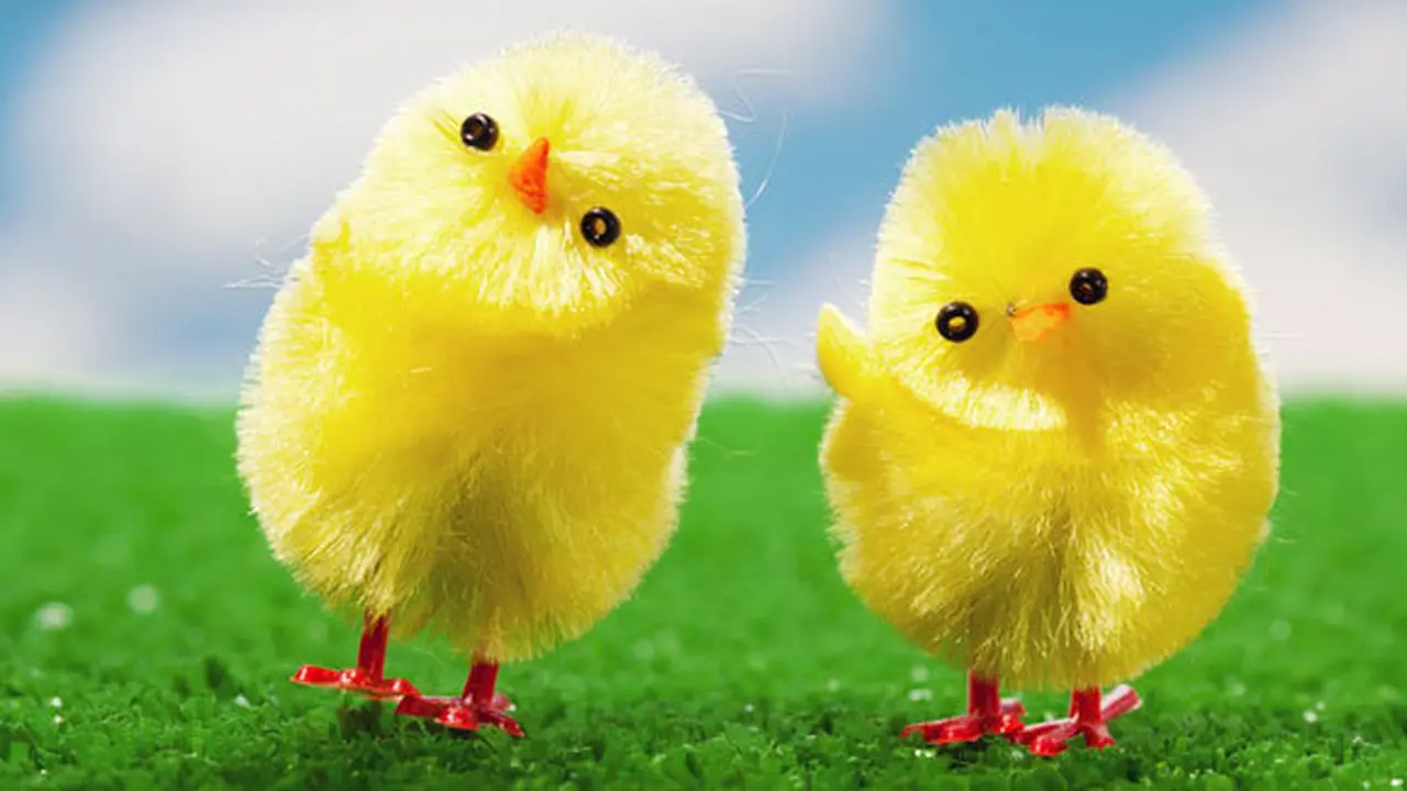 Courtesy ShutterStock.com