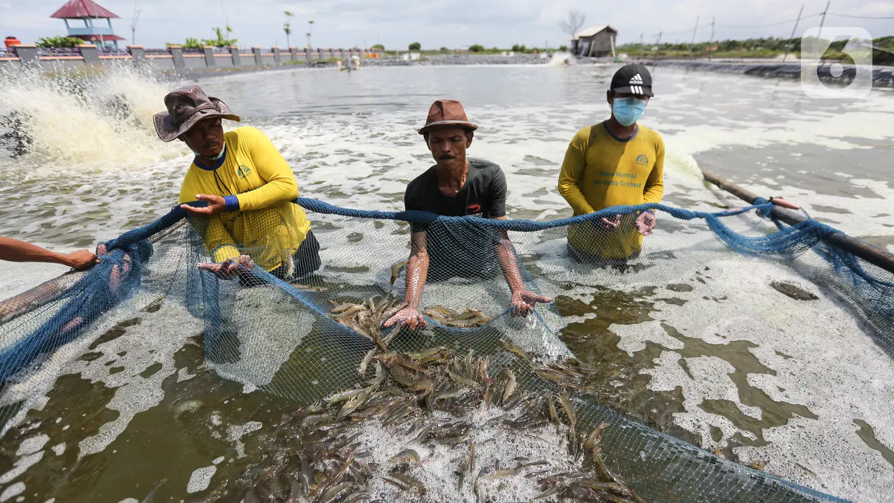 Gerbang Mapan Tingkatkan Ekonomi Warga Pesisir Utara Kabupaten Tangerang