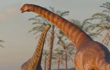 Ilmuwan Temukan Spesies Baru Titanosaurus dalam Tumpukan Fosil Berusia 78 Juta Tahun, Dikenal sebagai 'Raksasa Lembut