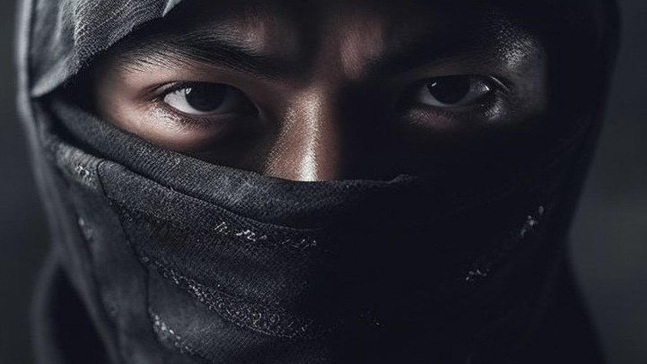 Ninja, Sang Pembunuh Senyap