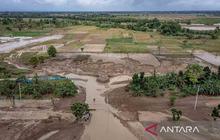 Debit Air Tinggi Hambat Perbaikan Tanggul Demak, BNPB Ungkap Tantangan Penanganan Banjir