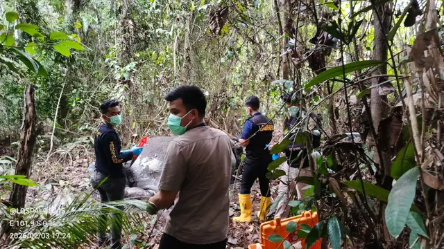 Gajah Tanpa Kepala di Hutan Konsesi Pelalawan Riau Diduga Kuat Korban Perburuan Liar