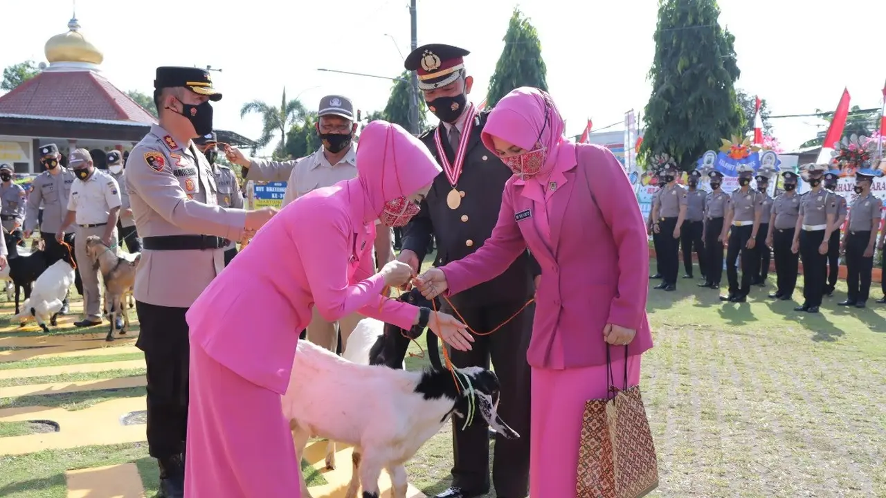 Tanda mata sepasang domba untuk polisi purna tugas di Polres Kebumen. (Foto: Liputan6.com/Humas Polres Kebumen)