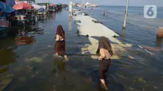 Siswi melintasi banjir rob di Pelabuhan Kali Adem, Muara Angke Jakarta, Rabu (5/1/2022). Menurut BMKG, adanya fase bulan baru yang bersamaan dengan masa Perigee (jarak terdekat bulan bumi) menyebabkan peningkatan signifikan ketinggian pasang air laut mencapai maksimum. (merdeka.com/Imam Buhori)