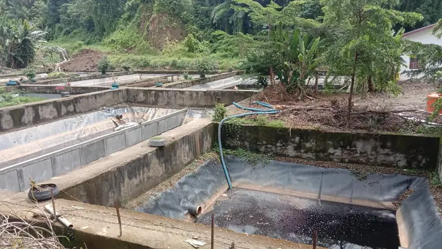 Air Lindi TPA Sampah Binuang tak dikelola dengan baik (Liputan6.com/Ahmad Yusran)
