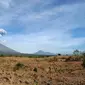 Gunung Agung mengeluarkan asap bercampur abu vulkanis terlihat dari desa Tulamben, Karangasem, Bali, Selasa (3/7). Walau terus mengalami letusan hampir sepekan terakhir, Gunung Agung masih berada pada status level III (siaga). (AFP/SONNY TUMBELAKA)