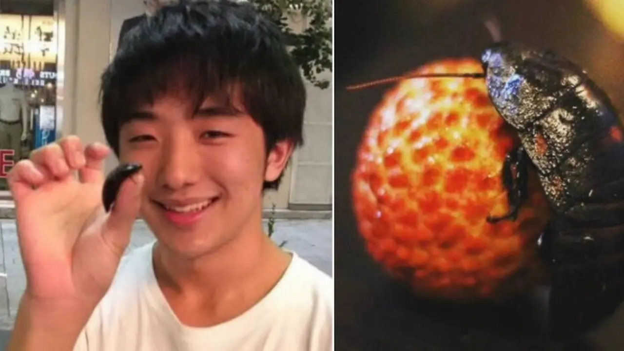 pria jepang pacaran dengan kecoak (foto: Youtube/Asian Boss)