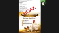 Cek Fakta: Hoaks Link Pendaftaran Bantuan Bibit Ayam untuk 5.000 Peserta