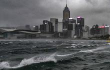 FOTO: Topan Wipha Lumpuhkan Hong Kong, Peringatan Tertinggi Diberlakukan