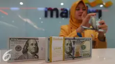 Petugas tengah menata mata uang dolar di Jakarta, Rabu (13/9). Dolar AS mulai menguat terhadap rupiah. (Liputan6.com/Angga Yuniar)