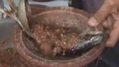 liputan6