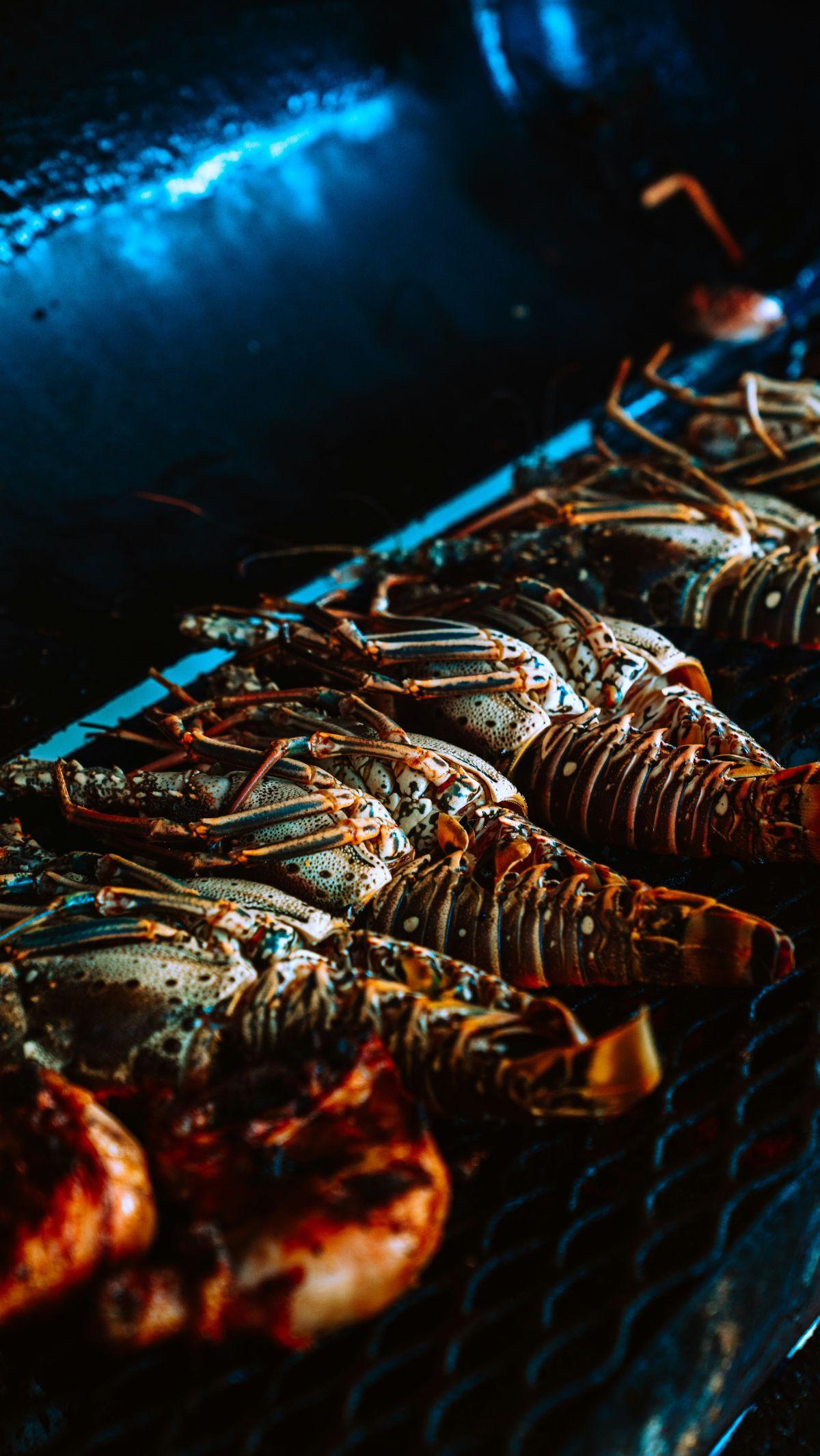 <b>Lobster Bakar Madu</b>