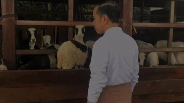 Jokowi