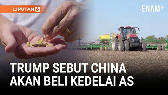 Trump Umumkan Tarif Turun dan China Akan Beli Kedelai AS