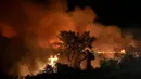 Petugas pemadam kebakaran berusaha memadamkan api di Jalan Transpantaneira pada lahan basah Pantanal dekat Pocone, negara bagian Mato Grosso, Brasil, Rabu, 15 November 2023. (AP Photo/Andre Penner)