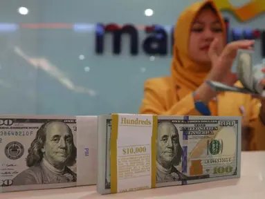 Petugas tengah menata mata uang dolar di Jakarta, Rabu (13/9). Dolar AS mulai menguat terhadap rupiah. (Liputan6.com/Angga Yuniar)