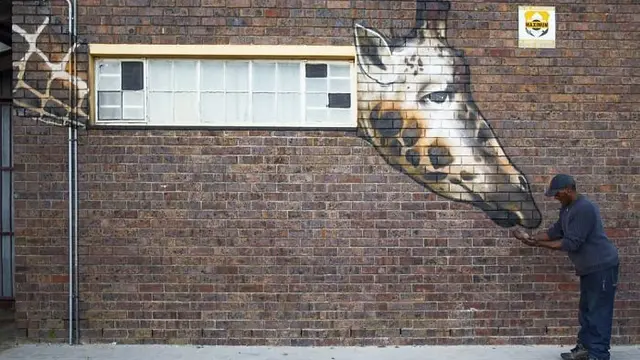 grafiti