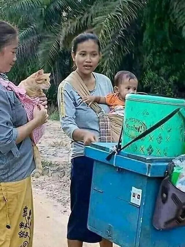 6 Kelakuan Emak-Emak Pelihara Kucing Bak Anak Sendiri Ini Kocak