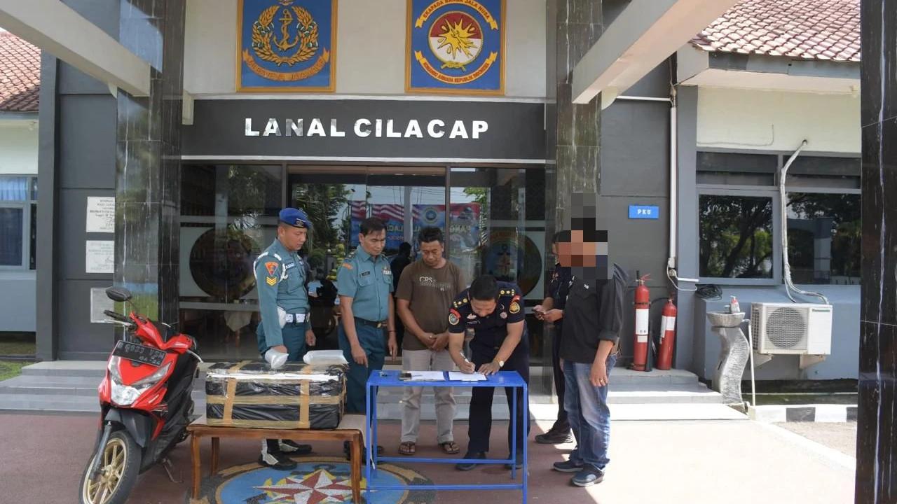 TNI AL Gagalkan Penyelundupan Benih Bening Lobster Ilegal, Nilainya Capai Rp2,5 Miliar