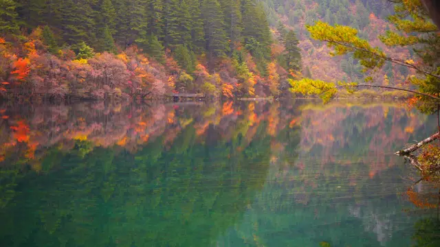 Danau Cermin di Lembah Jiuzhaigou (Wikimedia Commons)