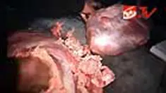 liputan6