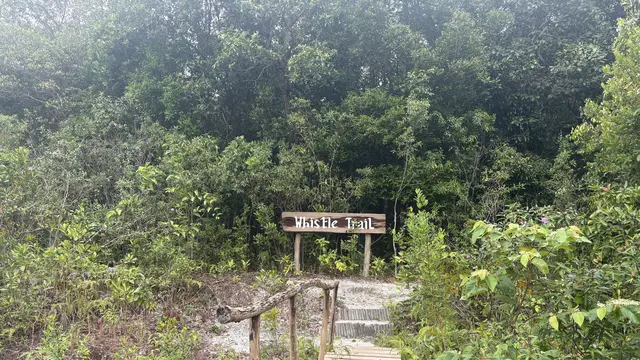 Bluemind Experience, Eksplorasi Indah Alam Tanjung Kelayang Reserve dengan Snorkeling hingga Menengok Tarsius
