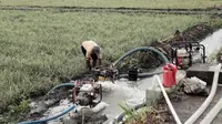Bantuan irigasi perpompaan untuk  Kelompok Tani Karya Lestari, Desa Karangrejo, Kecamatan Jati Agung, Kabupaten Lampung Selatan diberikan mengairi lahan Sawah seluas 60 Ha (Padi, jagung dan Singkong)/Istimewa.
