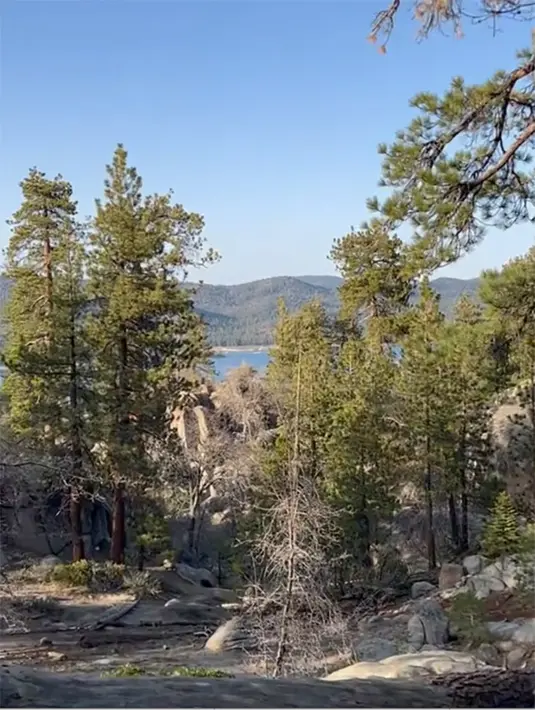 <p>Agnez Mo (Instagram/agnezmo)</p>