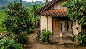 Pohon Buah untuk Rumah Dekat Sawah (created by AI)