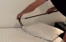 Detik-detik Mengerikan Kobra Berbisa Ditemukan di Bawah Bantal