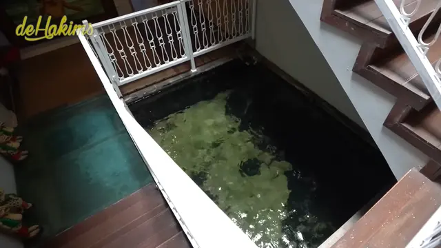 Potret kolam ikan di rumah Irfan Hakim