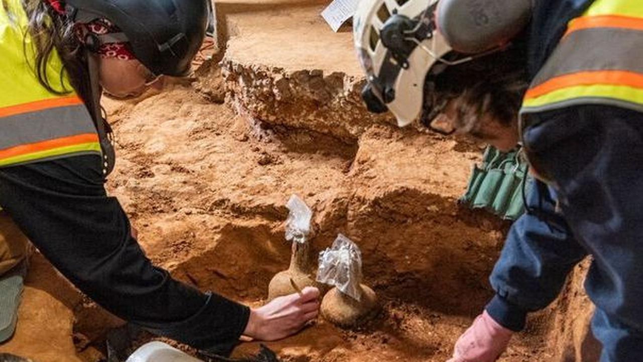 Menurutnya, Ceri tersebut kemungkinan dipetik di Gunung Vernon pada tahun 1770-an, sebelum Perang Revolusi Kemerdekaan Amerika Serikat, dan disimpan untuk masa depan.<br>