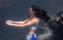 Wanita Indonesia Pecahkan Rekor Dunia Freediving Hingga 71 Meter, ini Sosoknya Dikenal jadi Putri Duyung
