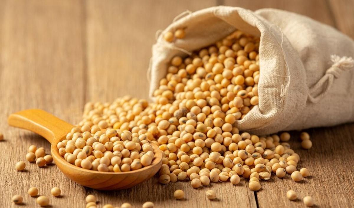 Protein Nabati: Alternatif Sehat untuk Vegan