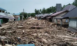 Banjir bandang di Tapanuli Selatan, Sumut