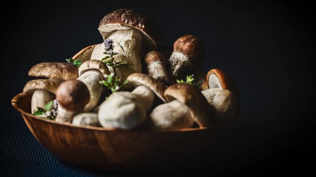 Ilustrasi resep jamur