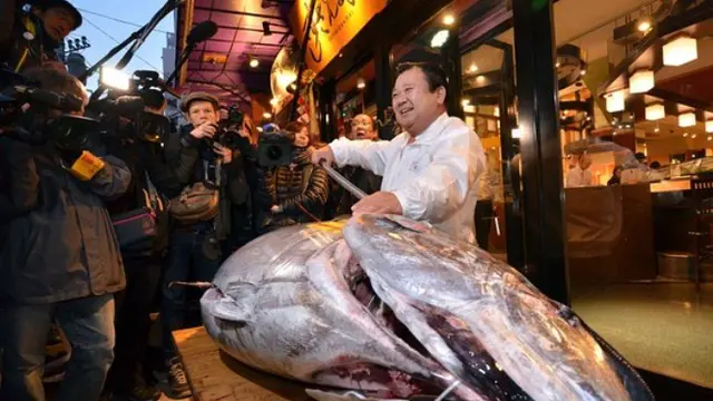 Ikan Tuna Bluefin
