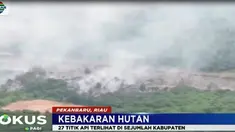 Sebagian besar lahan yang terbakar berada di sekitar areal perkebunan milik masyarakat dan perusahaan.