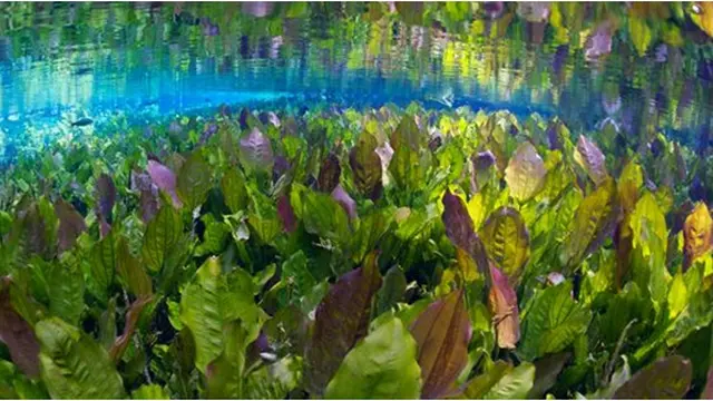 Foto: Natgeo/Michel Roggo