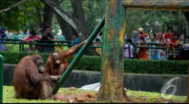  Taman Margasatwa Ragunan, Jakarta Selatan, menjadi salah satu tujuan rekreasi saat libur Lebaran (Liputan6.com/Miftahul Hayat)