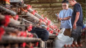 Indeks Bisnis UMKM BRI Masih Ekspansif, Pelaku Usaha Optimistis Tatap Kuartal III 2026
