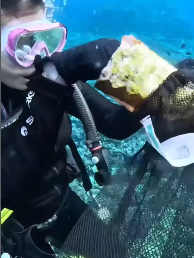 Prilly Latuconsina menyelam. (Foto: Instagram/prillylatuconsina96)