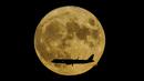 Supermoon—juga disebut bulan sturgeon—terbit saat pesawat jet mendekati bandara Internasional John F. Kennedy, di New York, Kamis (11/8/2022). Bulan Purnama Agustus 2022 akan menjadi fenomena Supermoon terakhir tahun ini. Bulan Purnama Agustus dijuluki "Sturgeon Moon". (AP Photo/Bebeto Matthews)