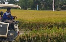 Kuasa Hukum Mentan Amran Sebut Rp200 Miliar untuk Petani, Begini Jawaban Resmi Tempo
