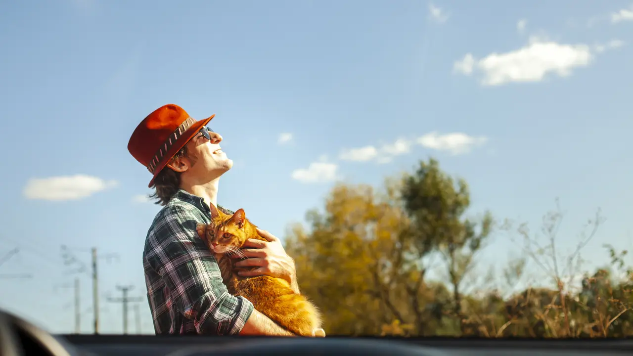 Cat person