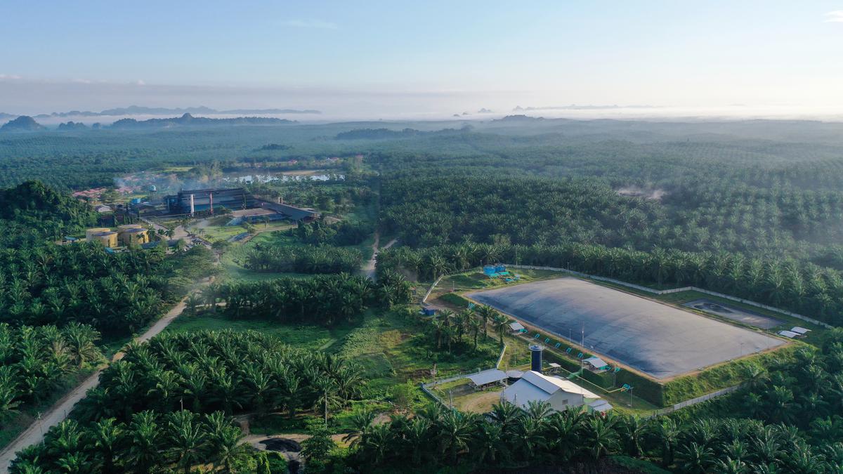 Emiten BWPT Buka Suara Terkait Masalah Investasi Felda
