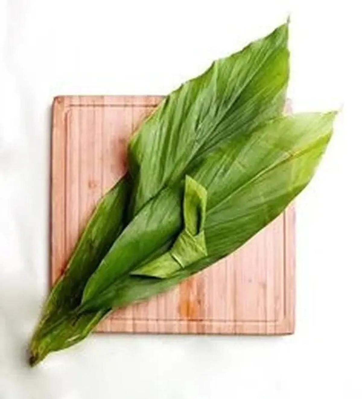 Manfaat Daun Kunyit, Obat Herbal Alami untuk Kolesterol Darah Tinggi dan Asam Urat