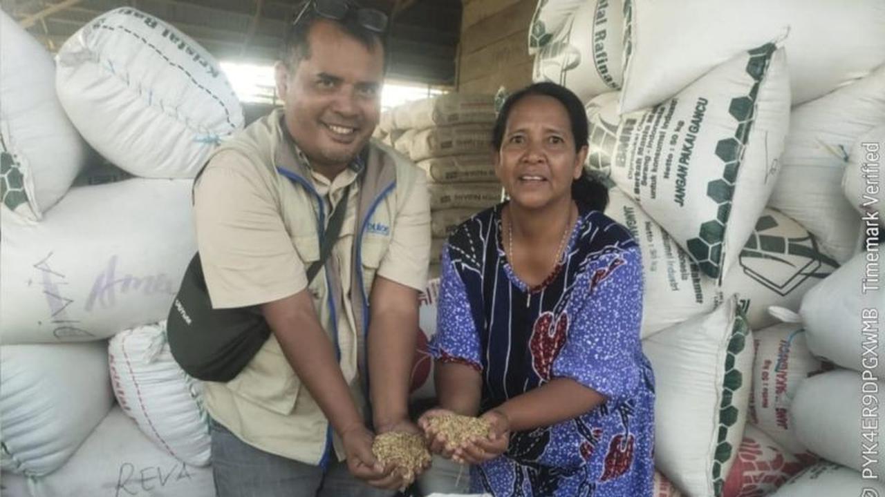 Bulog Rejang Lebong Lampaui Target, Serap 1.200 Ton Gabah Petani Akhir Februari 2026